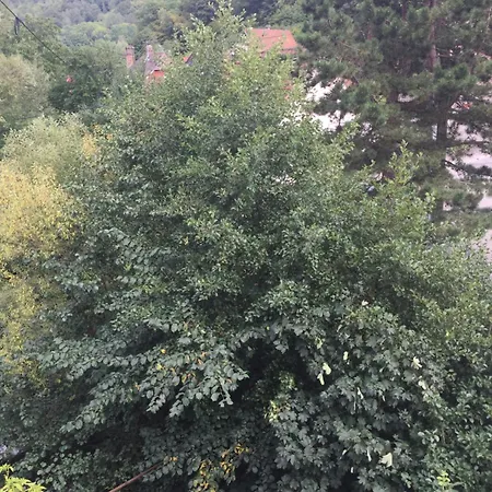 D'hotes A La Fecht Nature Et Bien-etre Sondernach