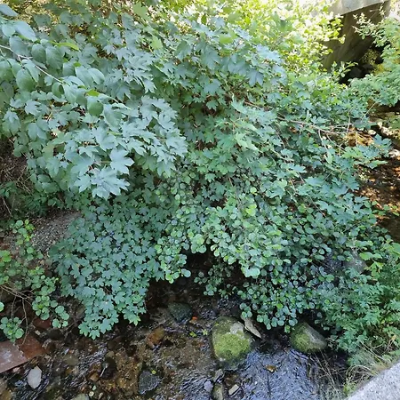 D'hotes A La Fecht Nature Et Bien-etre 住宿加早餐酒店 3*