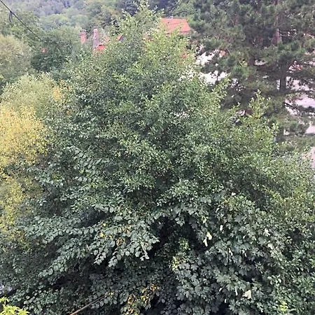 D'hotes A La Fecht Nature Et Bien-etre Отель типа 